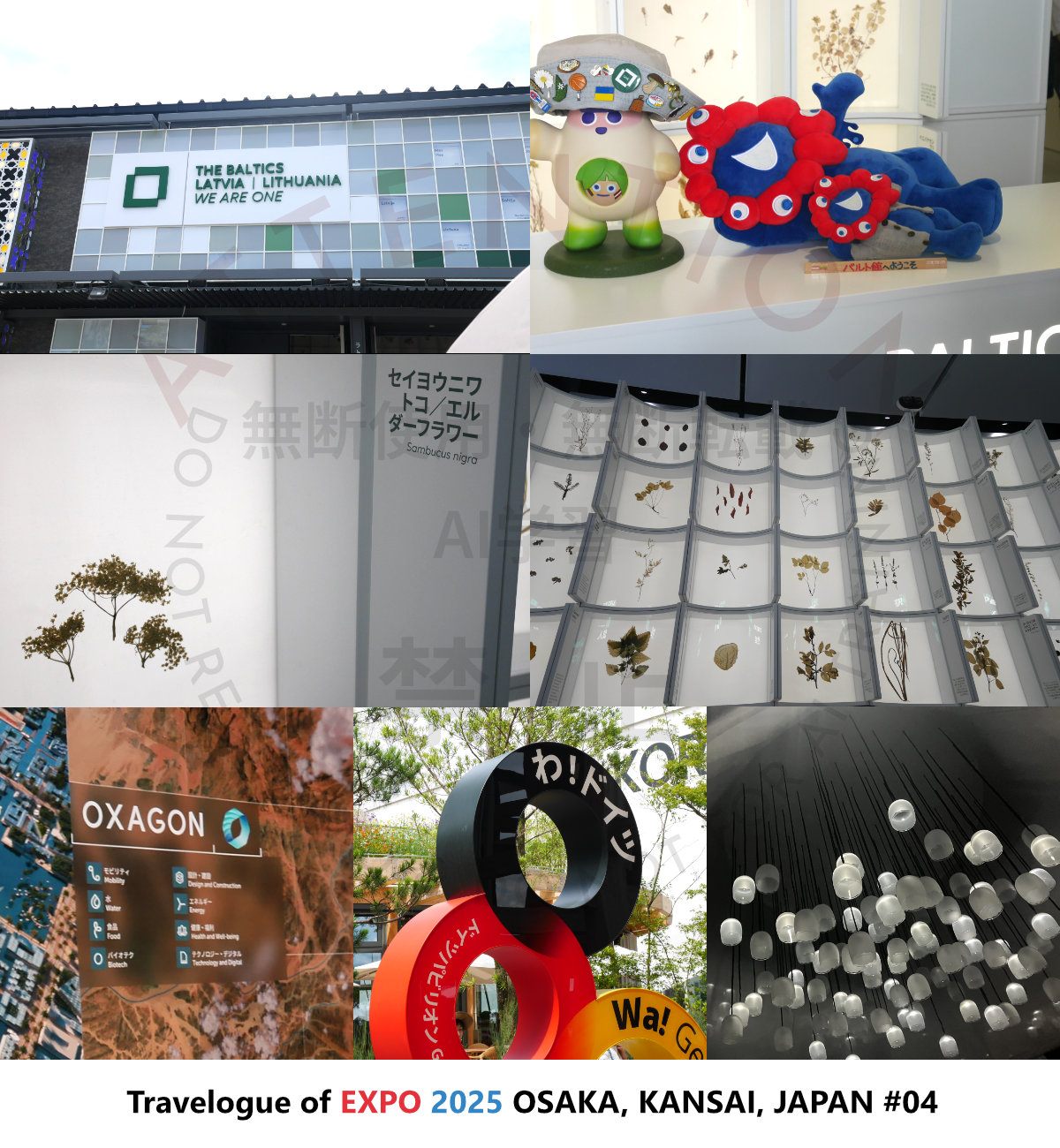 EXPO2025 Travelogue #04
